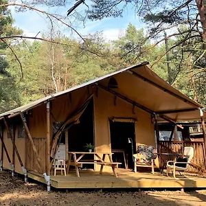 https://camp-bursztynowy-las.gdanskhotel.org
