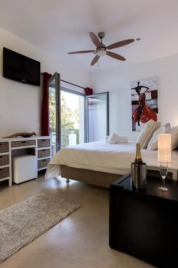 Ocean Lounge Villa Cape Town Orman Evi