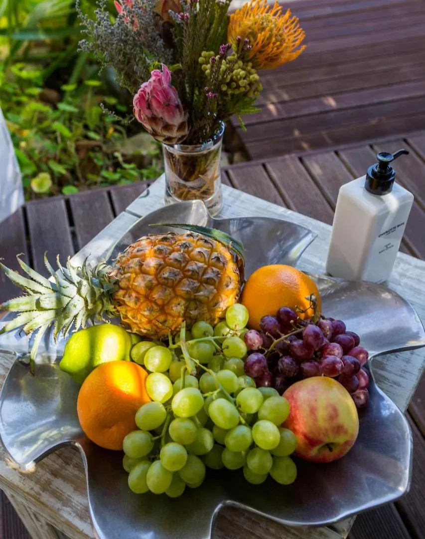 Ocean Lounge Villa Cape Town Orman Evi